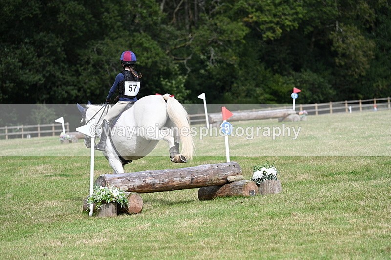 WJ7_8813 - 60cm Time 12:31 to 12:50