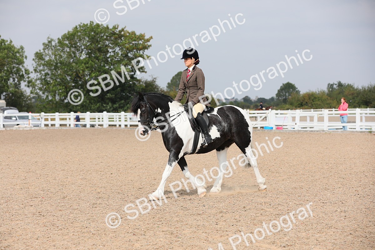 SBM_12784 - Class 307 Ridden Coloured Pony