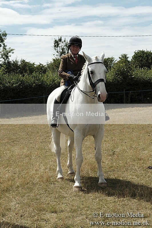 _PJP6037 - BVRC Show 2018 Ring 1