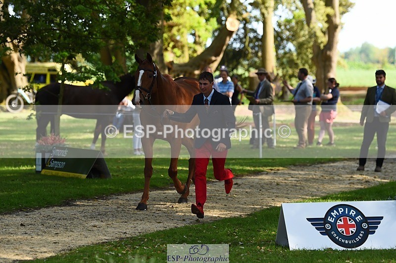 230524-170834-01302 - 156-JUST_PERFECT-Gaspard_Maksud-WEDTrotUp+DR