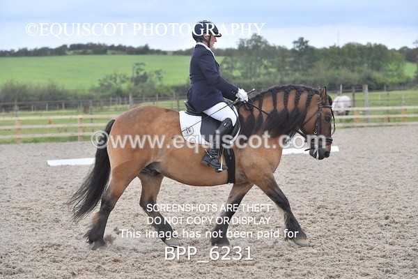 BPP_6231 - ELEMENTARY TEST 4 LONG ARENA