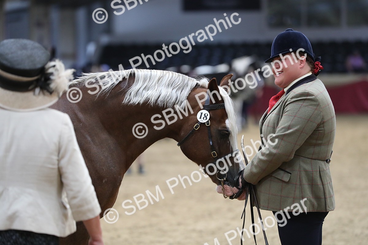 SBM_06428 - Class 9R Regional- IH Pre Vet