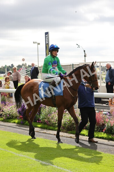 yr24092021r1-65 - Race 1 1.10pm Ernest Cooper Macmillan Ride of Their Lives