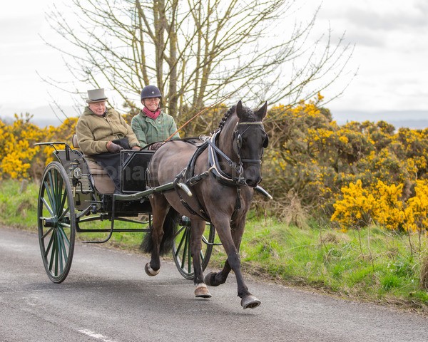 Troon Drive-235 - Troon Easter Monday Drive 2026
