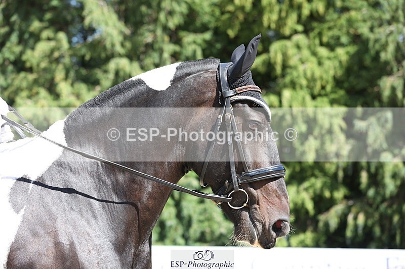 230811-143441-02057 - Cls 1 Prelim Bronze 13.30 to 14.50 break