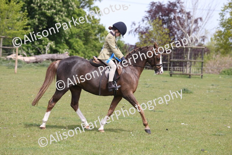 20260426-4087 - Small Pony Championship