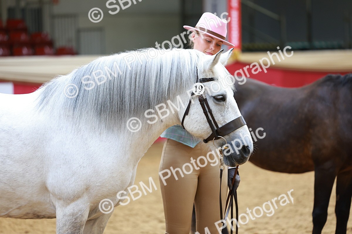 SBM_04155 - Class 9R - IH Pre-Vet