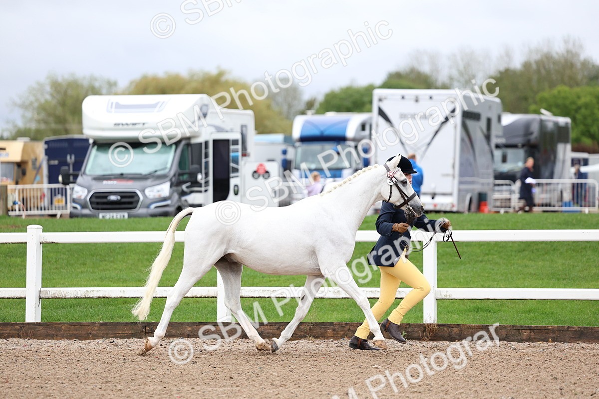SBM_00238 - Class 13 - Young Handler