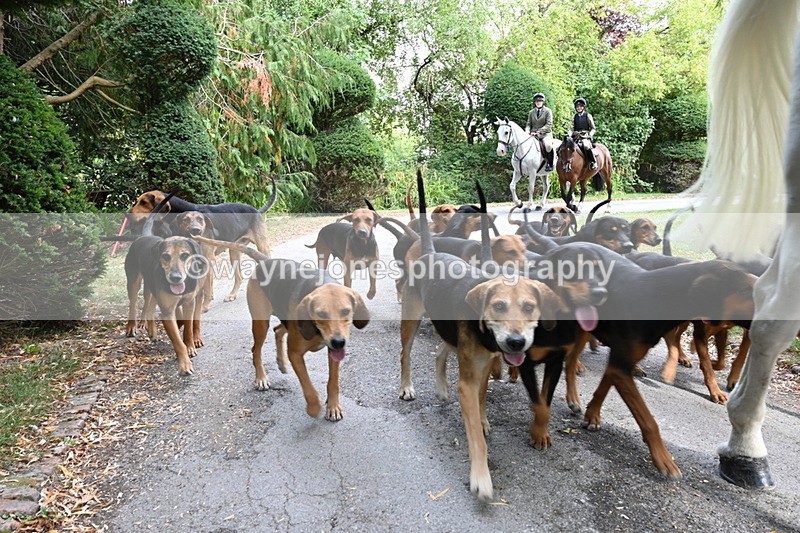 WJ6_3959 - Berks & Bucks - The Old farmhouse - Hound Exercise 20-08-25
