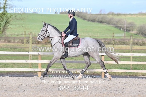 BPP_3244 - CLASS 2  Club/ Unaffiliated 80cms Open