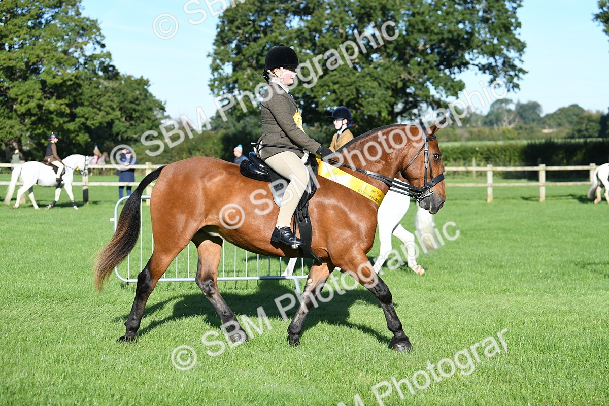SBM_34139 - S16 - Condition & Turnout - Ridden