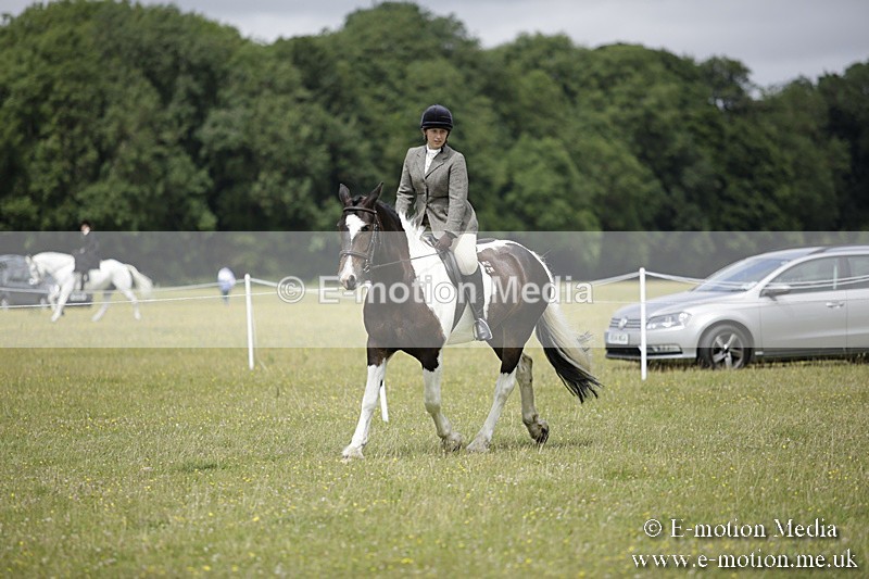 BVR160717-1900 - Ring 1 BVRC Show 16/07/17