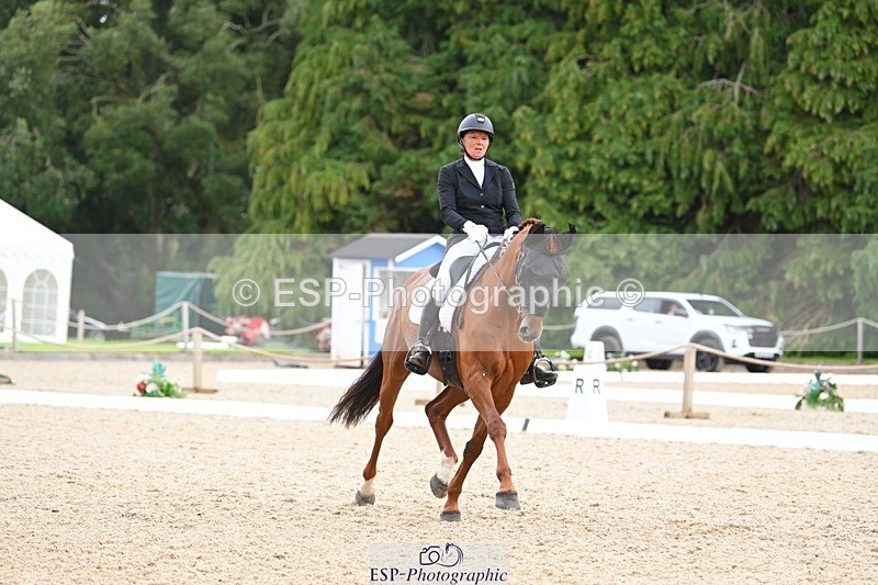 230813-143106-07783 - Cls 13 Medium Bronze 13.15 to End