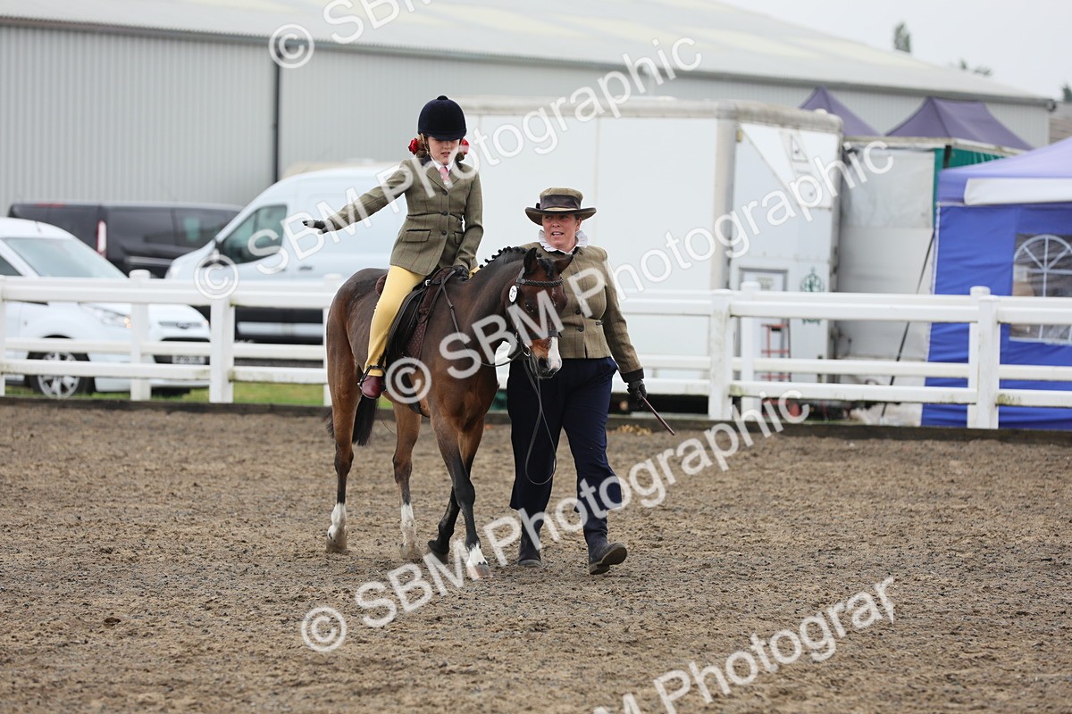 SBM_21849 - Class 806 - Young ridder 10 Yr & Under