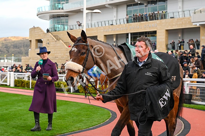 141224-Race 5-Libberty Hunter-0766 - Race 5