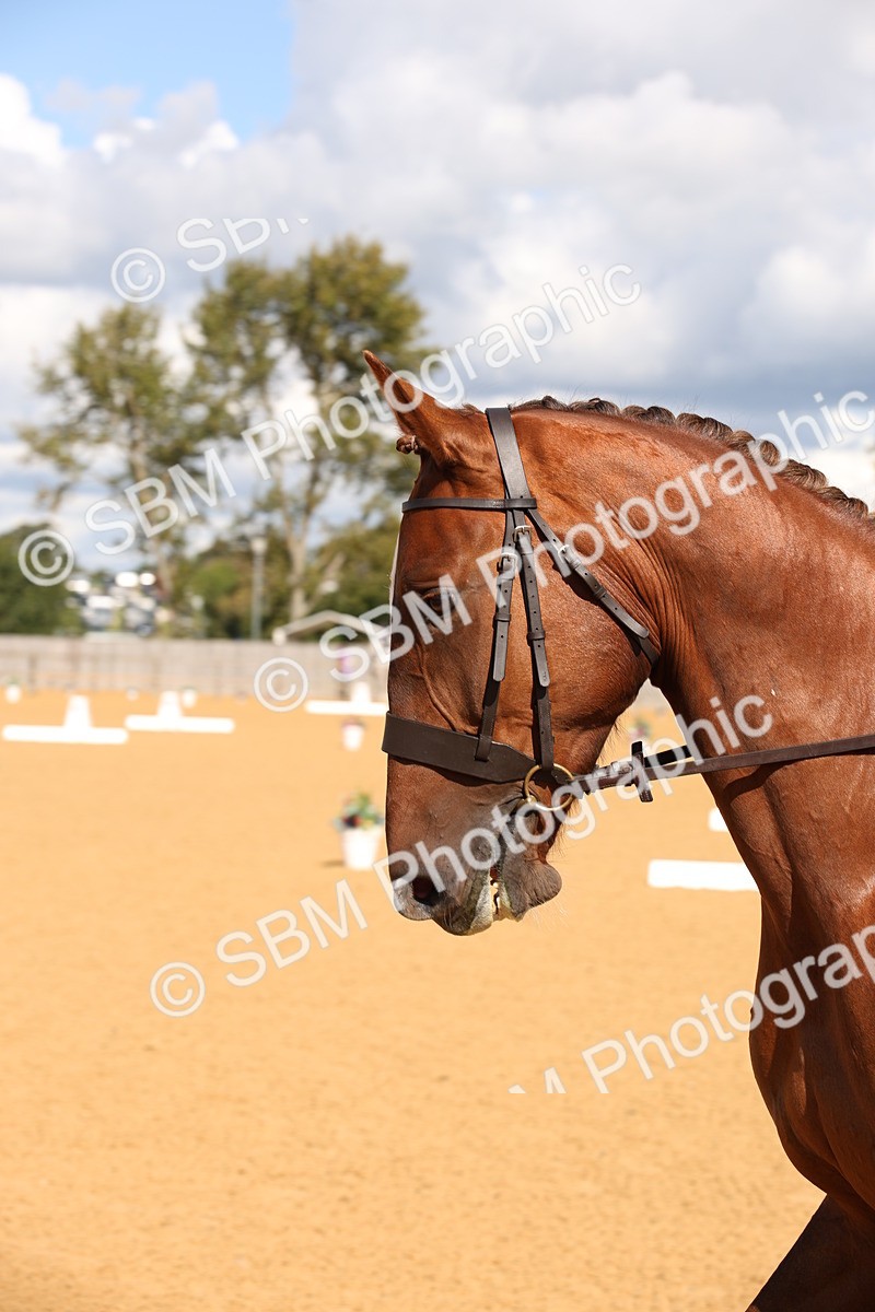 SBM_06686 - D8 Small Tour Championship Prelim 7