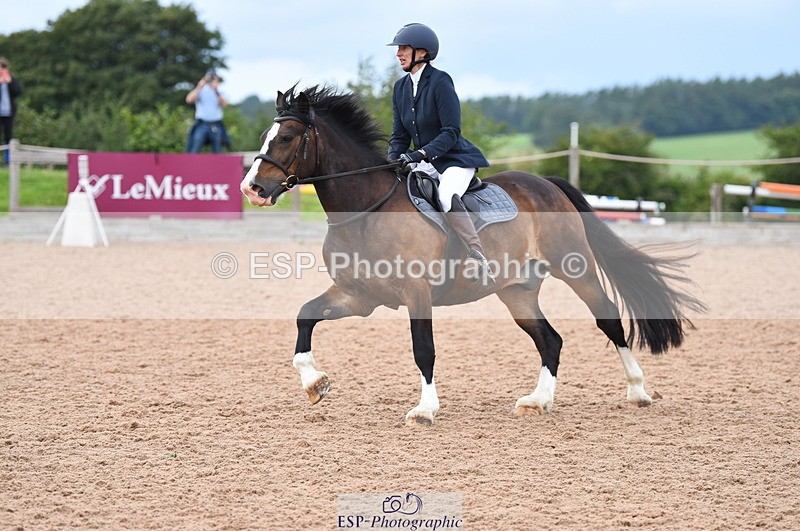 230716A-141624-02952 - Club and Schools 80cm