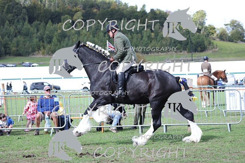 APP_3666 - Class 8 Ridden Class