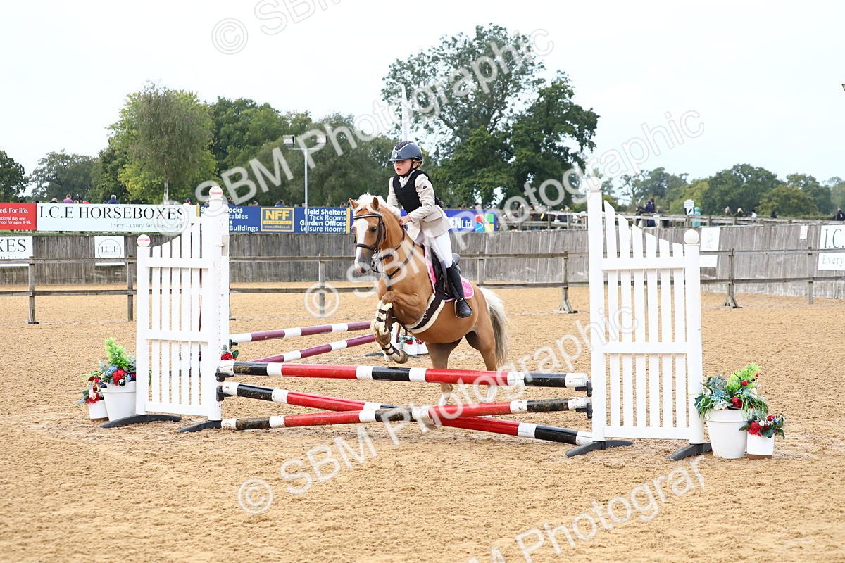 SBM_60015 - J63 - Junior Pony 50cm Championship