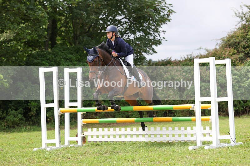 3E7A6957 - Class 5: Senior British Novice/90cm open