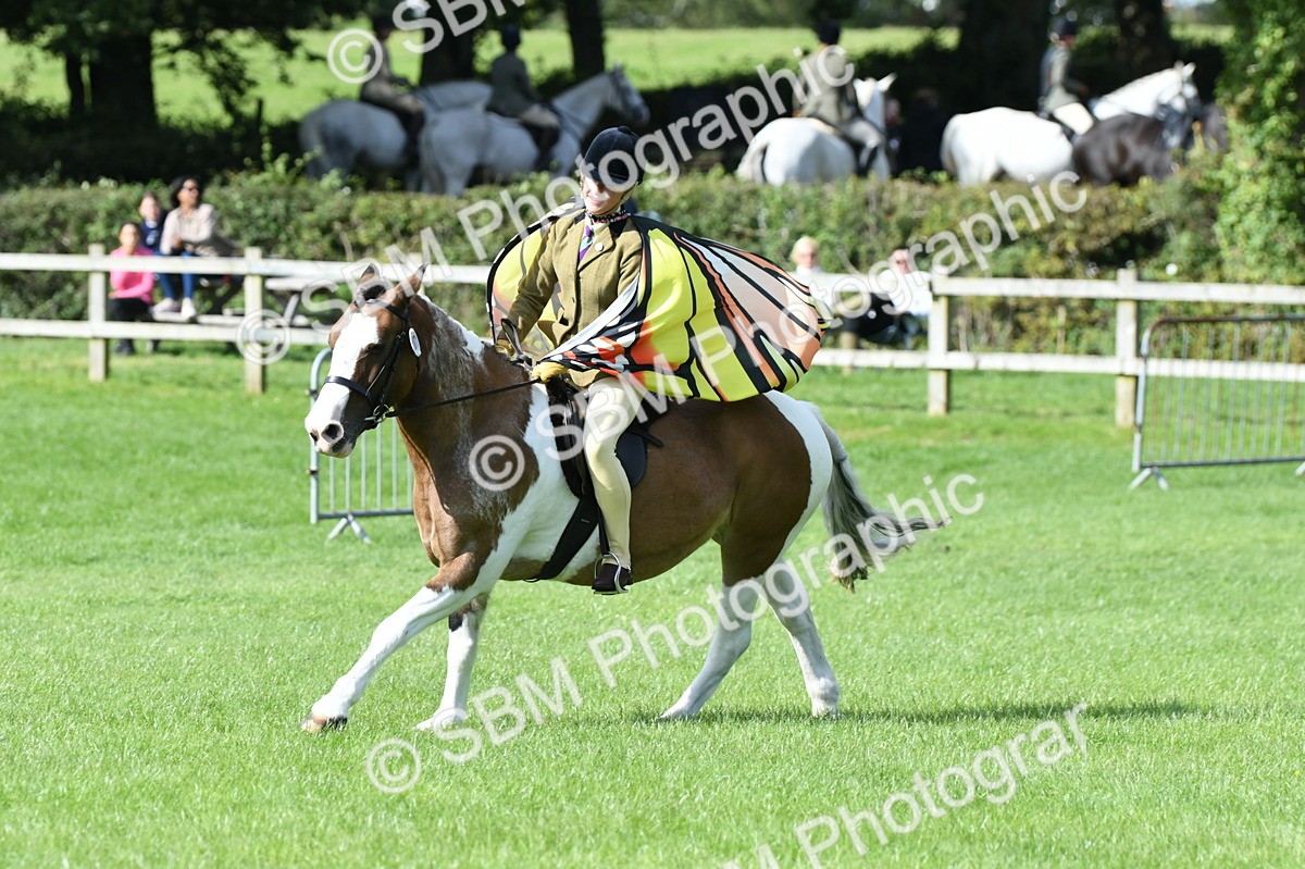 SBM_47117 - S12 - Family Horse & Pony