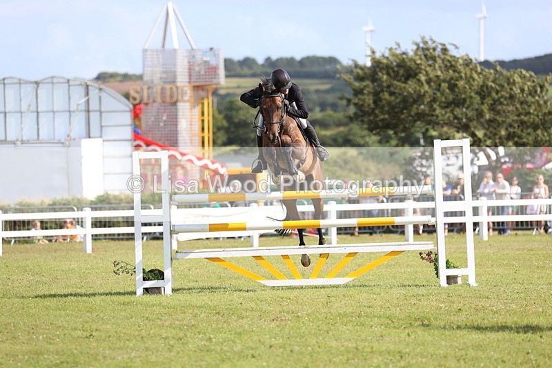 3E7A3557 - Class B: Showjumping Accumulator