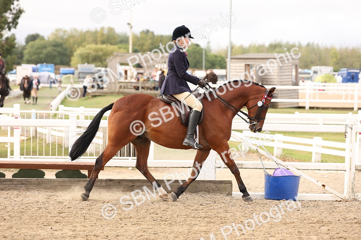SBM_01527 - Class 52 - Ridden Veteran