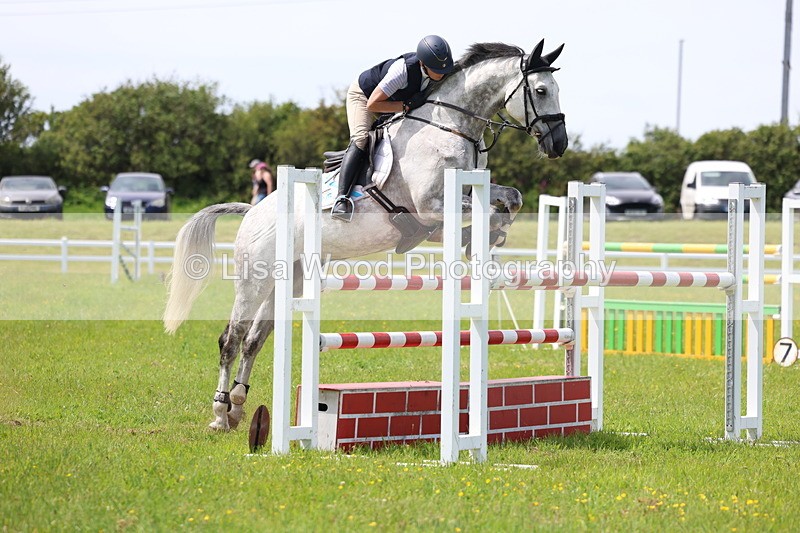 3E7A1390 - Class 12: Senior Foxhunter/1.20 open
