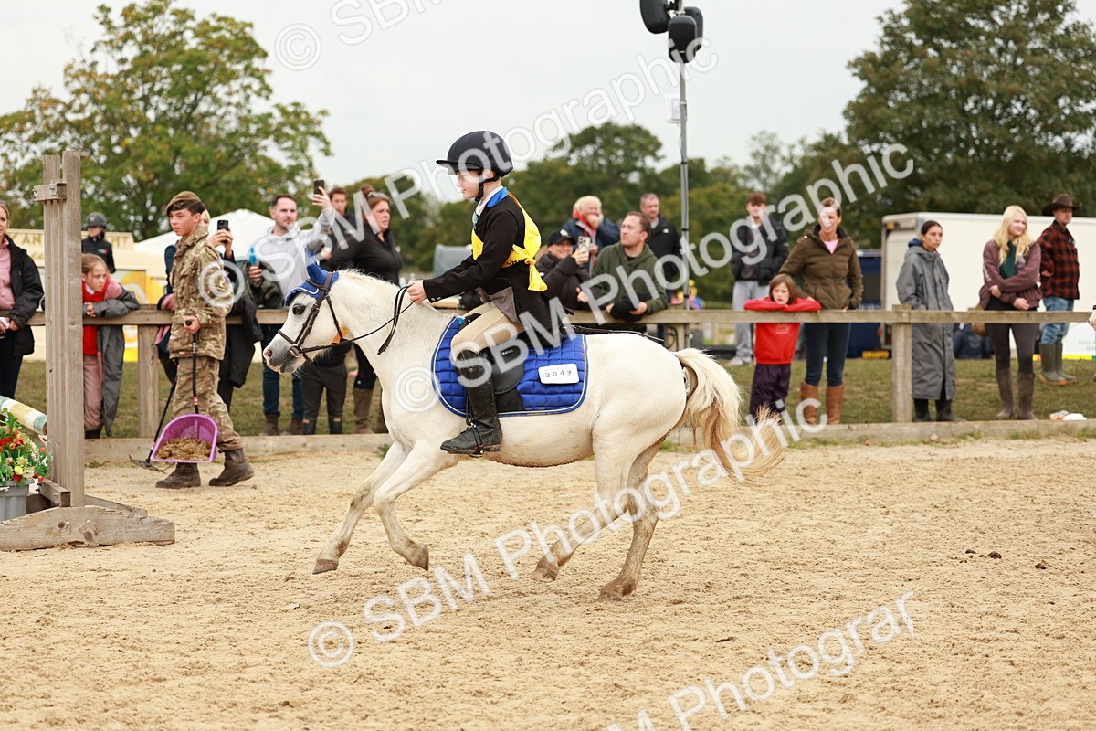 SBM_58131 - J11 - Junior Pony 50cm Championship