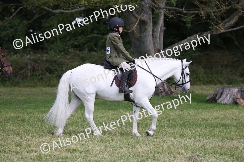 20260614-0799 - Class 20 - Beginners Working Hunter Pony