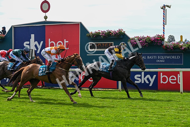 060926-Race 2-Oriental Prince-7227 - Race 2 2.05pm Fine Details Car Valeting Sprint Handicap