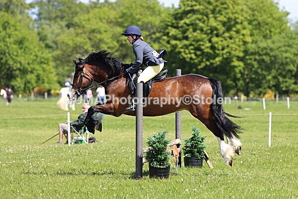IMG_3486 - Working Hunter