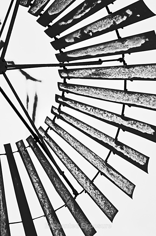 Cut The Wind - Architecture and Sculptures