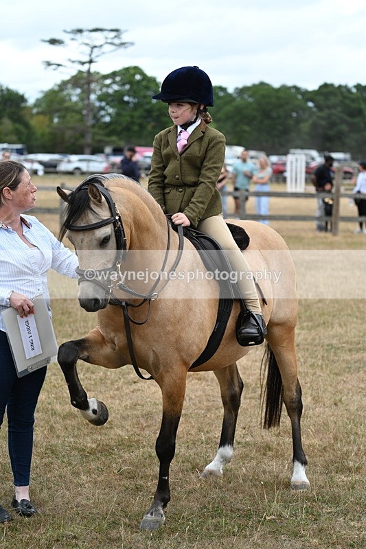 WJ7_7390 - Class 2 Best Rider