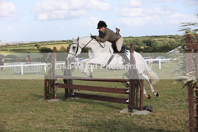 JPP_3392 - Class 22: Working Hunter 90cm