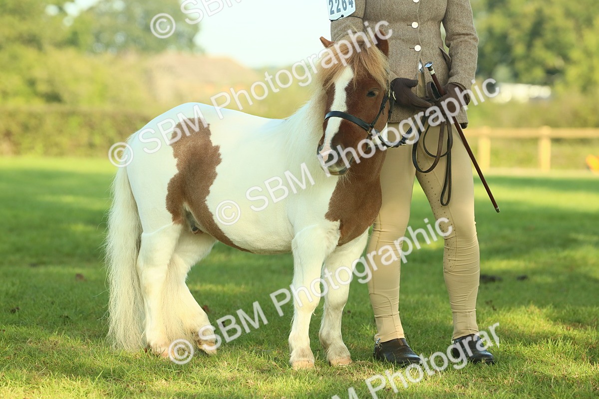 SBM_58621 - S37 - Starters In Hand Showing