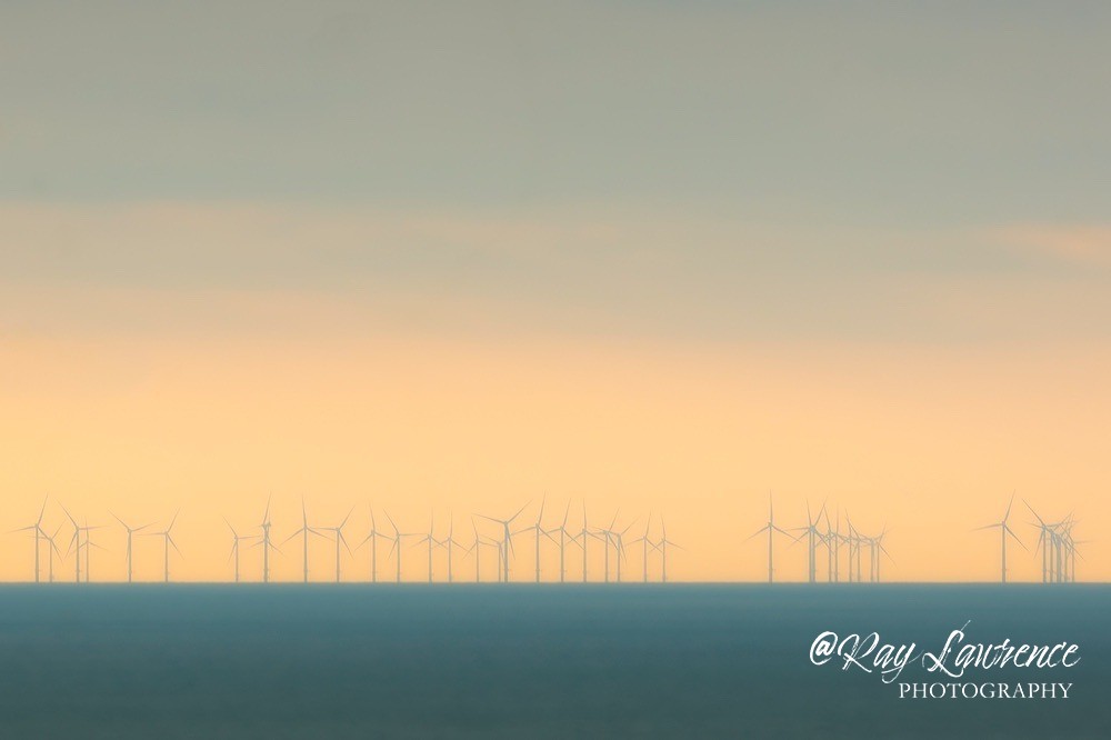 RLP_9650-894 - Close to Home