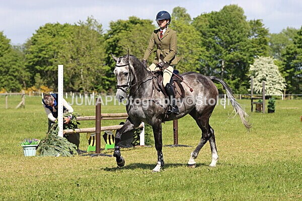 IMG_4661 - Working Hunter
