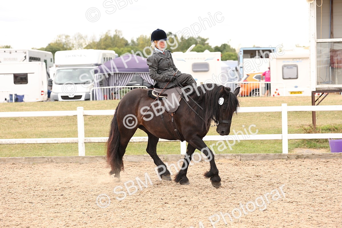 SBM_16432 - Class 211 - Best Side Saddle Horse - Pony