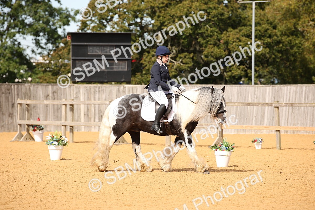 SBM_21762 - D5 - Small Tour Championship - Intro C