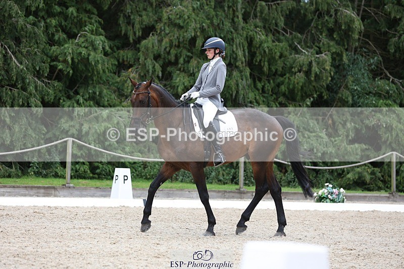 230813-145439-07901 - Cls 11 Elem Bronze 14.30 to End