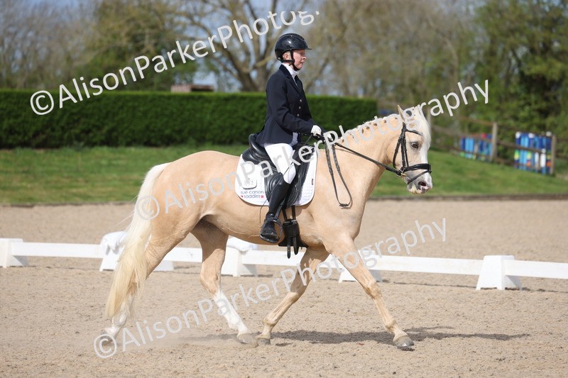 20260405-0212 - Class 3 - Novice 5