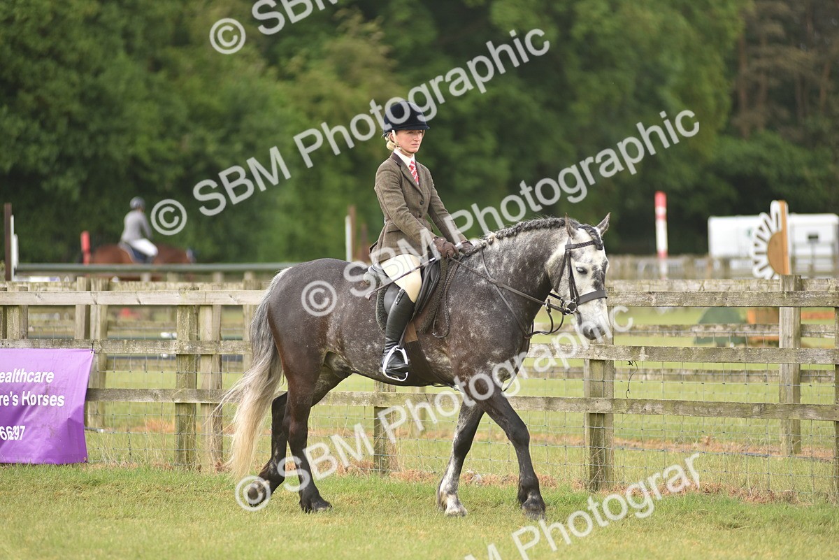 SBM_12087 - Class 110-112 - LIHS BSPS Performance Pones