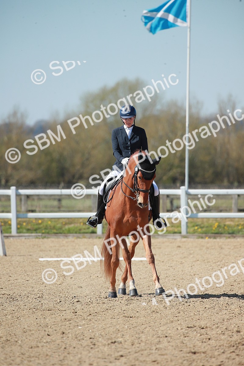 SJ3_1212 - Class 2-5-4-6-7 - Paso Doble-Golega-Sevilla-Lisboa-Novato