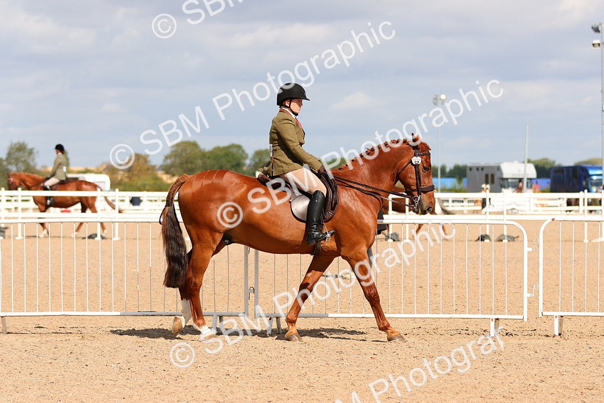 SBM_13162 - Class 211 - Ridden Hunter - Small