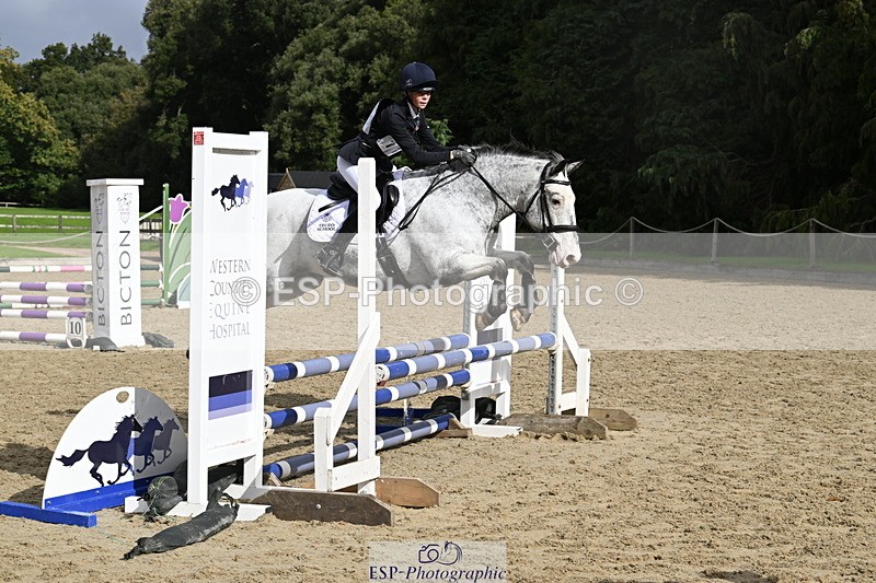 251005A-121015-03633 - Cls 08 Mini 70-75cm