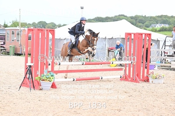 BPP_1834 - CLASS 13 Stepping Stones 128/ 138cms Handicap