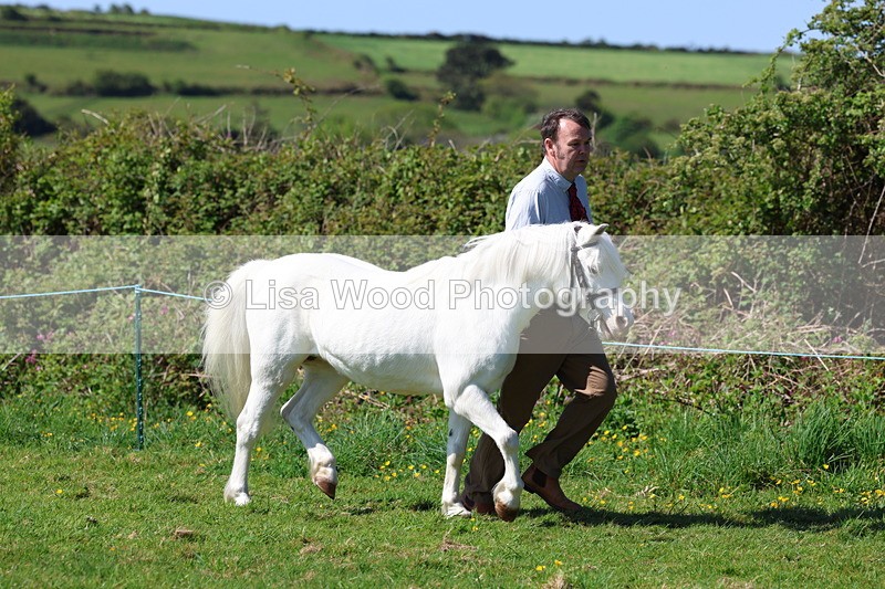 3E7A9383 - Class 16: Best Grass Kept