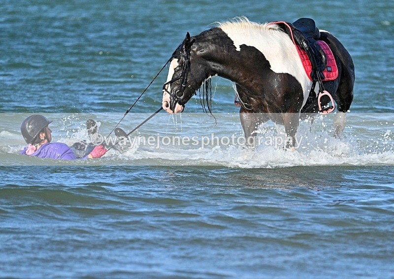 WJ7_3555_1 - Kellie & Churchill ... do Hayling Island 25-08-24