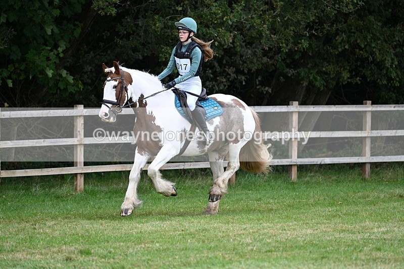 WJ7_7412 - 40cm Time 10:27 to 10:47